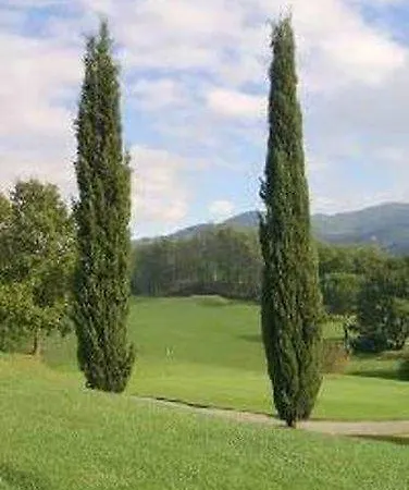 Grand Nizza Et Suisse Montecatini-Terme